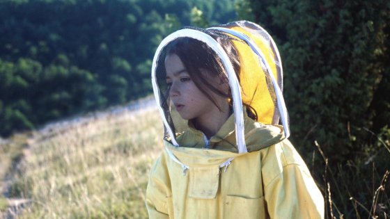 20.000 Arten von Bienen